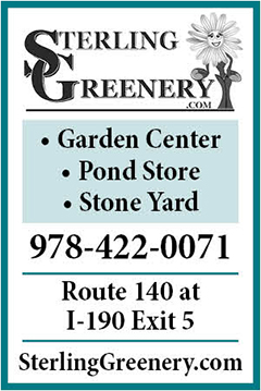 Sterling Greenery
